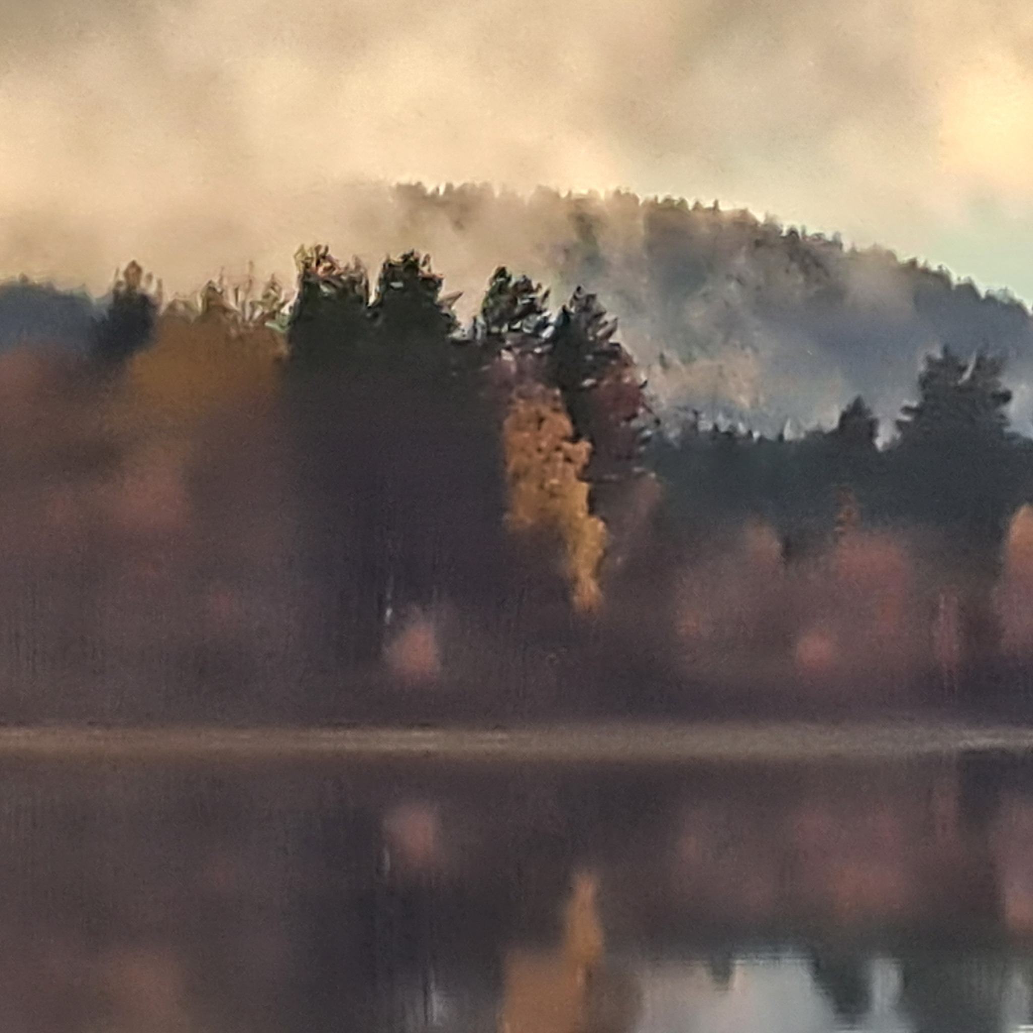 behandlingen med PRP